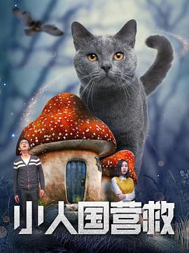 免费a一级