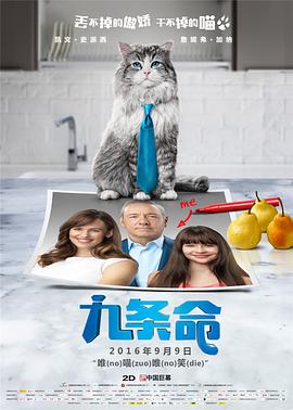 女刑警的调查方法