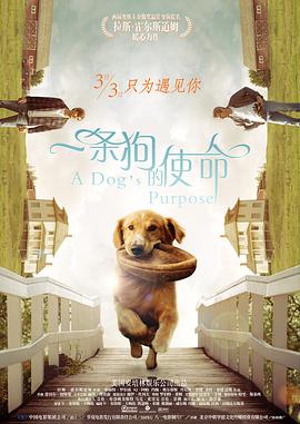 久青草香蕉精品视频在线