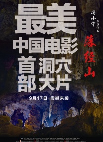 亲爱的老大