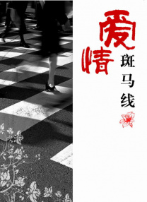精品视频入口