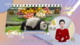 亚洲免费一级片